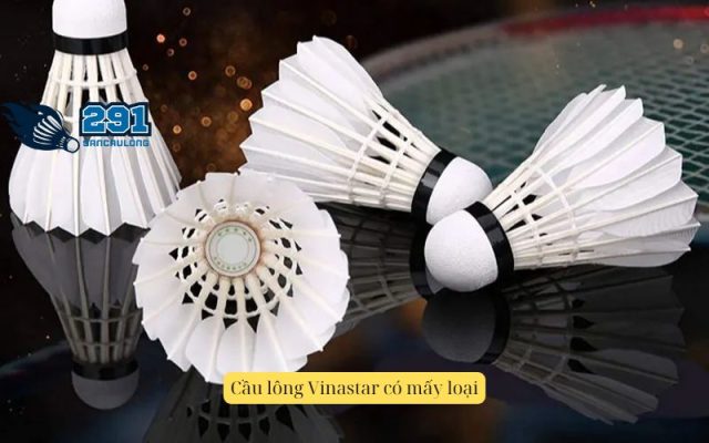 Cầu lông Vinastar có mấy loại