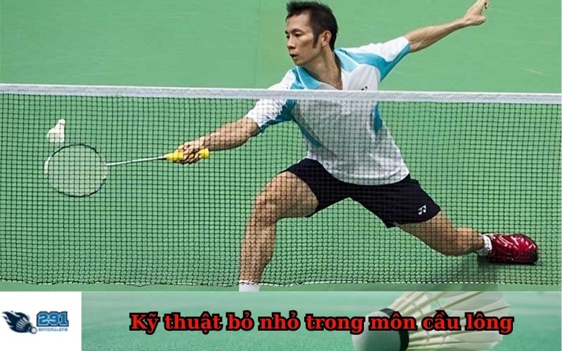 Kỹ thuật bỏ nhỏ trong môn cầu lông