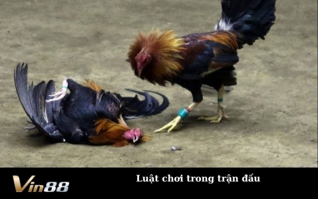 Luật chơi trong trận đấu